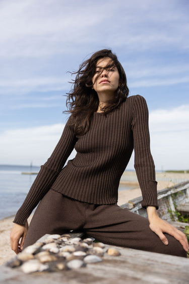 Brera 100% Merino Long-sleeve Top Chocolate